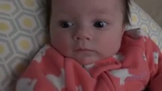 WESTMINSTER COLORADO-2015: Baby On A Pale Blue And Yellow Cushion Looking At