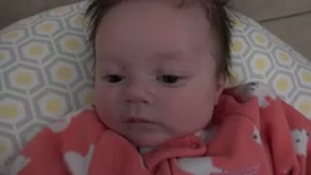 WESTMINSTER COLORADO-2015: Baby On A Pale Blue And Yellow Cushion Looking At