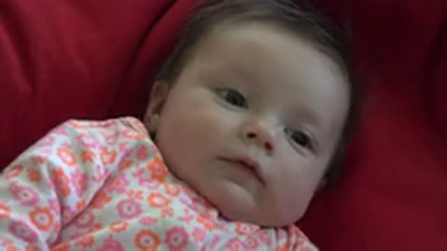 WESTMINSTER COLORADO-2015: First Person Baby Looking Around Near The Camera