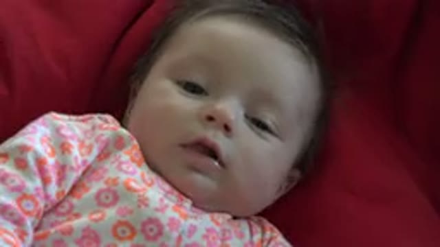 WESTMINSTER COLORADO-2015: Wide Awake Infant Lying On Cushion While Being Jostled