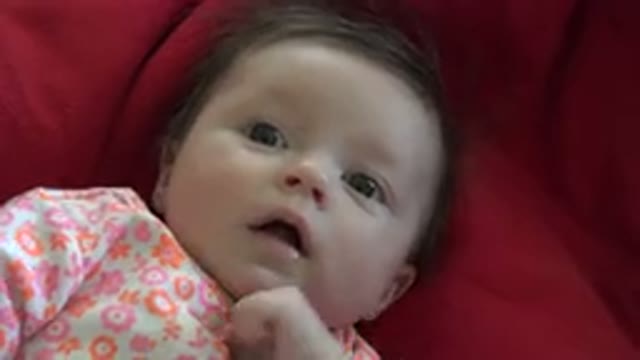 WESTMINSTER COLORADO-2015: A Little Baby With Blond Hair Using Printed Rompers