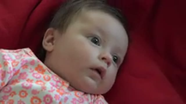 WESTMINSTER COLORADO-2015: Close-Up Of A Baby Laying Down And Looking Around