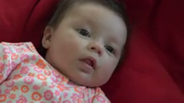 WESTMINSTER COLORADO-2015: Baby Looking Into The Camera With A Confused Look