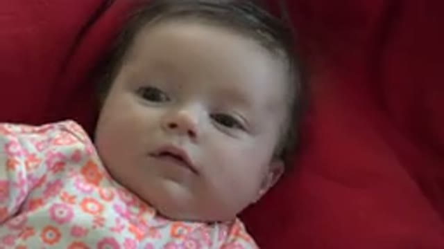 WESTMINSTER COLORADO-2015: Baby Is Alert - Viewing His Her Surroundings With