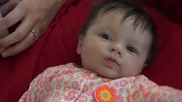 WESTMINSTER COLORADO-2015: Little Green-Eyed Baby Plays In Front Of The Camera
