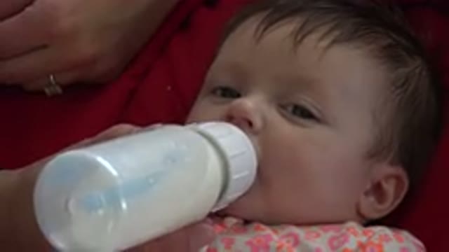 WESTMINSTER COLORADO-2015: Cute Baby Drinking Milk and Looking at Camera
