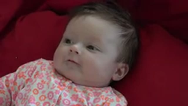 WESTMINSTER COLORADO-2015: Baby On Red Bedding Making Funny And Inquisitive Facial Expressions