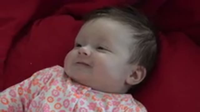 WESTMINSTER COLORADO-2015: Adorable Cute Baby With Funny Brown Eyes In A