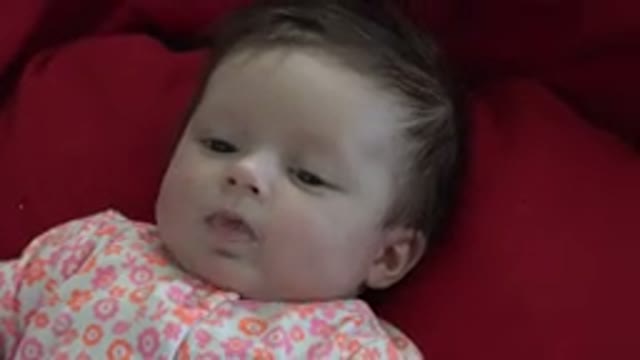 WESTMINSTER COLORADO-2015: A Small Baby Lying Down and Popping Their Lips