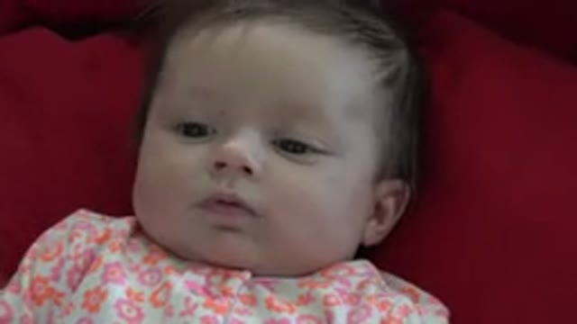WESTMINSTER COLORADO-2015: Baby Watches Carefully The Person With Whom He Is