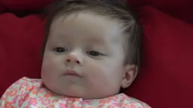 WESTMINSTER COLORADO-2015: Cute Baby With Serious Countenance Lying On A Very