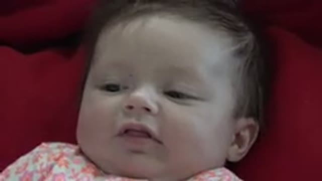 WESTMINSTER COLORADO-2015: Baby Is Not Happy With Her Surroundings