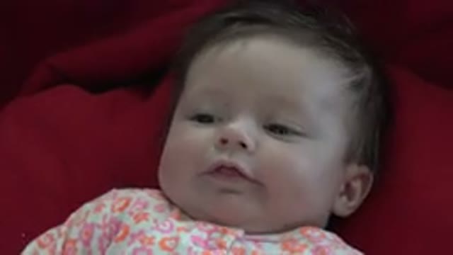 WESTMINSTER COLORADO-2015: Adorable Cute Baby Decides To Make Action