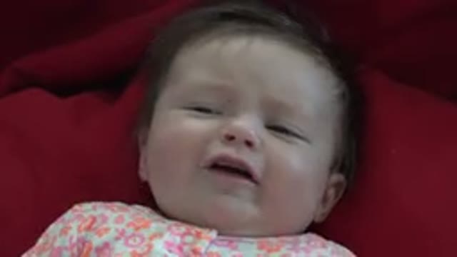 WESTMINSTER COLORADO-2015: A Baby Acting As He Didnt Love Something