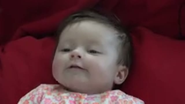 WESTMINSTER COLORADO-2015: A Baby Communicating With An Adult On Its Back While