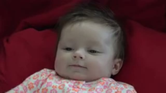 WESTMINSTER COLORADO-2015: Cute Baby Relaxing With A Red Background In A White Top