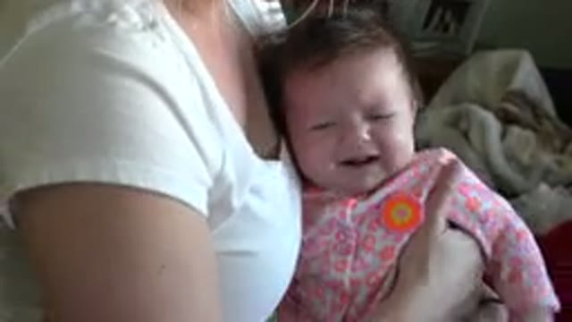 WESTMINSTER COLORADO-2015: Baby Cry Mother Nurture Noisy Pink Small Cute Cuddle