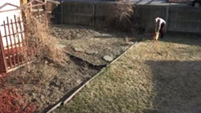 WESTMINSTER COLORADO-2015: Woman In A Yard Engaging With Her Dog