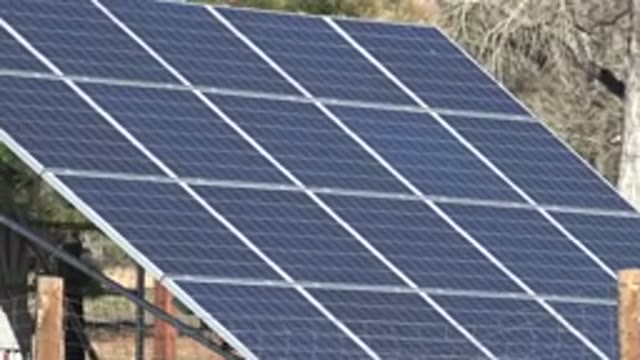 ARVADA COLORADO-2015: Solar Panel Lights Are Placed In The Middle Of A Wooden Area