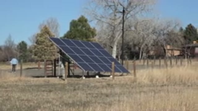 ARVADA COLORADO-2015: Black Solar Panels And Green Tree On A Clear Sunny Day