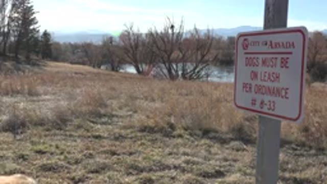 ARVADA COLORADO-2015: Dog Without A Leash Under A Sign That Recommends Leash Use