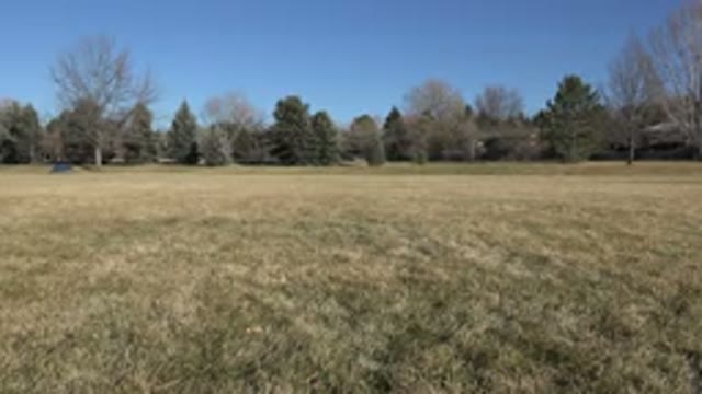ARVADA COLORADO-2015: An Empty Brown Grassy Field Surrounded By Trees Of Various Sizes