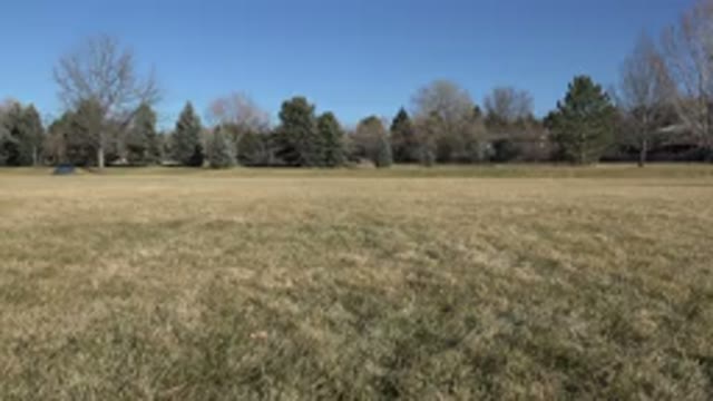ARVADA COLORADO-2015: A Man Holding A Red Leash And A Brown Dog Running In A Sun-Drenched Meadow