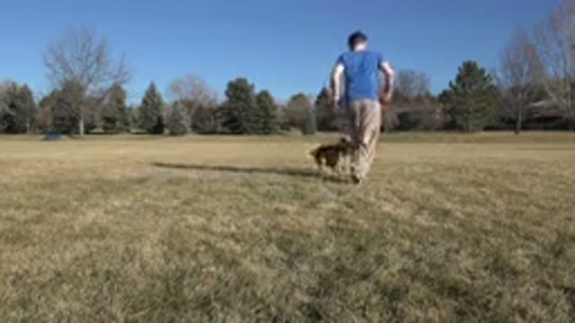 ARVADA COLORADO-2015: Dog Running With Its Master Through A Vast Ground