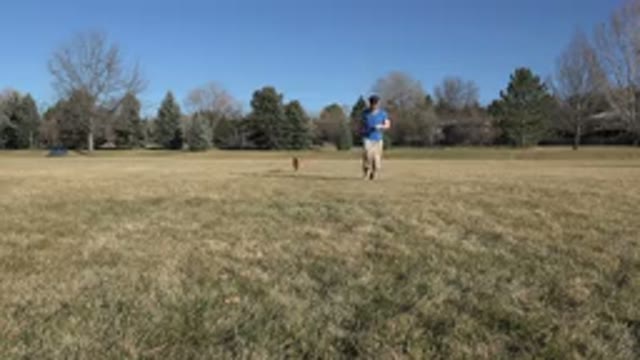 ARVADA COLORADO-2015: Beautiful Joy Of A Young Man While Playing Games With His Dog