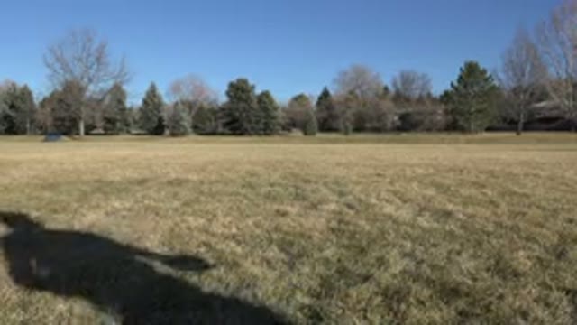 ARVADA COLORADO-2015: Dogs Love To Play With Their Owners Amidst Nature