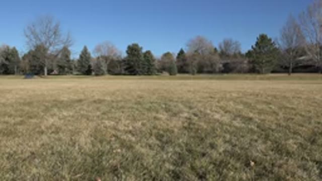 ARVADA COLORADO-2015: Playing With My Dog Every Day