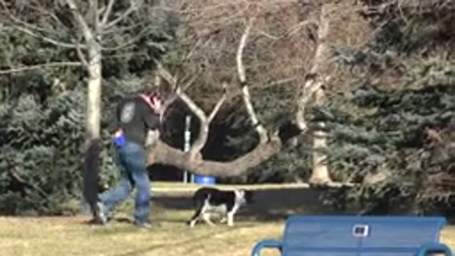ARVADA COLORADO-2015: Person Walking With Their Dog Outside And Person Is Holding Phone