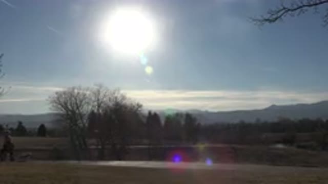ARVADA COLORADO-2015: Two People Walking Dogs On A Bright Sunny Day