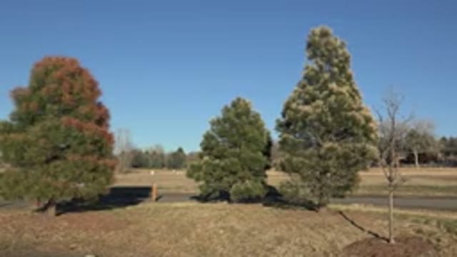 ARVADA COLORADO-2015: A Beautiful And Sunny Day At A Park Nearby