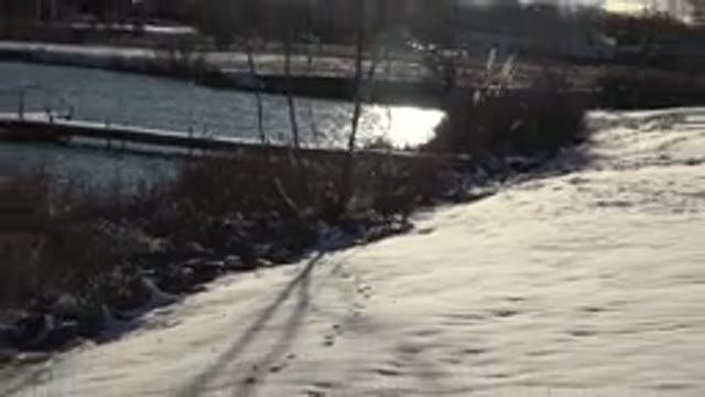 WESTMINSTER COLORADO-2015: A Beautiful Image Of A Bridge Built On A Lake