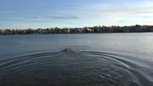 WESTMINSTER COLORADO-2015: Someone Spends a Good Time Swimming at the Beach
