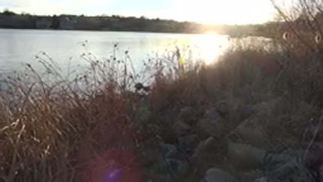 WESTMINSTER COLORADO-2015: Stones Trees River Bank Water Waves Sunlight Dry