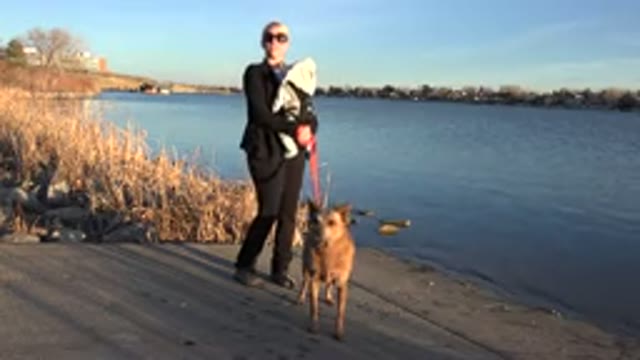 WESTMINSTER COLORADO-2015: A Man Walking Toward a Woman With a Baby and a Dog