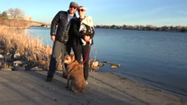 WESTMINSTER COLORADO-2015: Man And Woman With Baby In Arms Holding Dog And