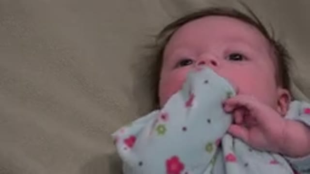 WESTMINSTER COLORADO-2015: Calm Baby Lying On Bed Awake With Hands In Mouth