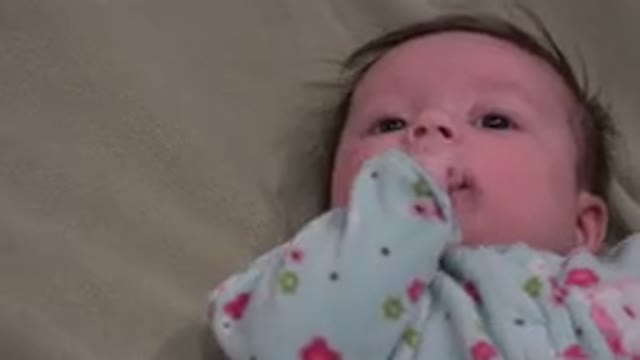 WESTMINSTER COLORADO-2015: Baby Laying Down And Looking Into The Camera With