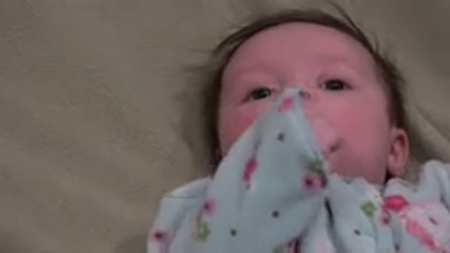 WESTMINSTER COLORADO-2015: Baby Laying On Its Back Biting Its Hand