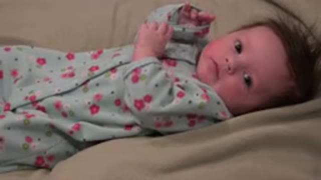 WESTMINSTER COLORADO-2015: Baby In Some Blankets Looking Up At The Camera That