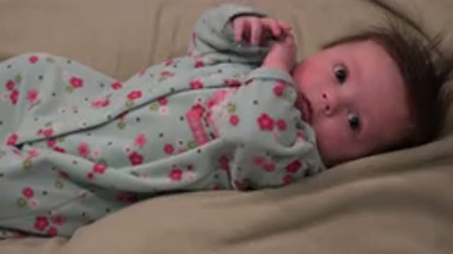 WESTMINSTER COLORADO-2015: Cute Baby Pays Attention To The Camera