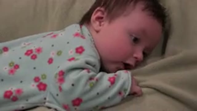 WESTMINSTER COLORADO-2015: Baby Playing Belly Side Down On Blanket