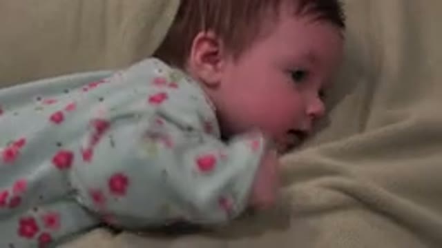 WESTMINSTER COLORADO-2015: Baby Girl Tummy Time On Blanket