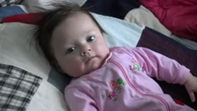 WESTMINSTER COLORADO-2015: Baby Girl Looking At Something Or Someone