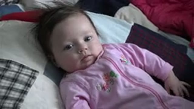 WESTMINSTER COLORADO-2015: A Baby Girl Lying In The Middle Of The Mess Next To A Dog