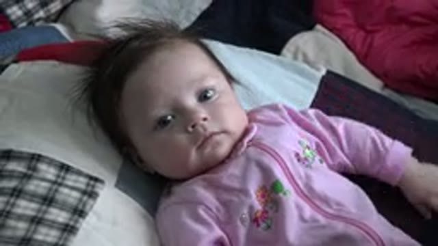 WESTMINSTER COLORADO-2015: Baby Playing and Flipping Hands