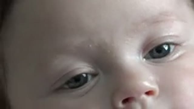 WESTMINSTER COLORADO-2015: Baby With Blue Eyes Looks At Camera On A Sunny Day